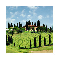 Toskana - Chianti  Riserva Badiolo 2016er