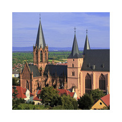 Rheinhessen - Dornfelder Trocken 0,75 2023er