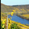Rn-FRANKEN - Wü Stein Erste Lage Weißburgunder 2021er