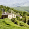 Rn-Toskana - Chianti  Riserva Badiolo 2016er