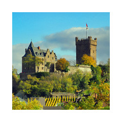 Pfalz - Edenkobener Pfalzrubin