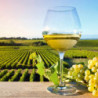 Franken - Silvaner Trocken - Grossostheimer 2025er