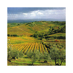 Toskana - Chianti  Riserva Badiolo 2016er