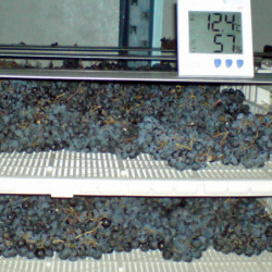 Friaul  -  Merlot - Cantina Valle 2005er