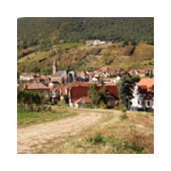 Pfalz - Edenkoben Dornfelder Halbtrocken 2023er