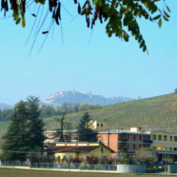 Piemont - Barolo - Beni di Batasiolo DOCG 2020er