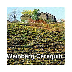 Piemont - Barolo - Beni di Batasiolo DOCG 2020er