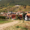 Pfalz - Edenkoben Dornfelder Halbtrocken 2023er