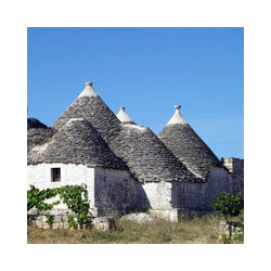 Apulien - San Donaci - Primitivo di Manduria DOC 2022er