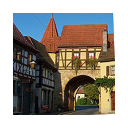 Franken - Bacchus von Behringer- Abtswind 2023er