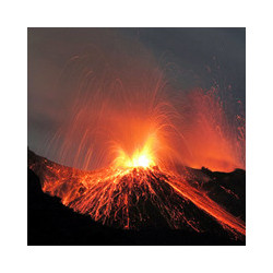 Apulien - San Donaci - Primitivo di Manduria DOC 2022er