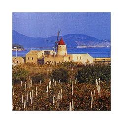 Sizilien - Vino Santa Messa - Bianco - Liter Kein JG