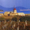 Sizilien - Vino Santa Messa - Bianco - Liter Kein JG