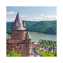 Pfalz - Sauvignon Blanc - Nollen Erben - Trocken 2024er