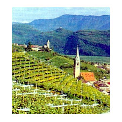 Elsass - EDELZWICKER - Roi Dagobert  AOC Blanc