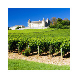 Rn-Burgund - Château de Dracy - Bourgogne Rouge 2013er