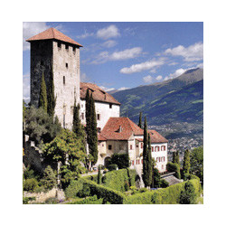 Elsass - EDELZWICKER - Roi Dagobert  AOC Blanc