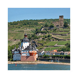 Mosel - Trittenheimer Altärchen Trocken Spätlese 2023er