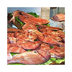 Elsass - Cremant d.Alsace - Blanc St.Eloi