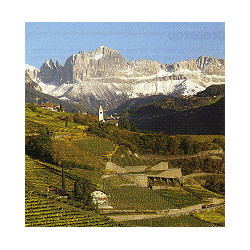 Rn-Südtirol - Sankt Magdalener Classico 2024er