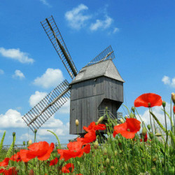 Beaujolais - Villages Château Varennes 2021er