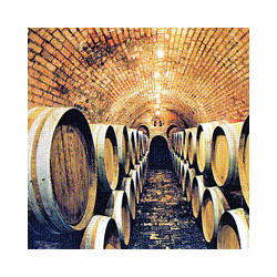 Österreich - Kolkmann Zweigelt Perfektion 2023er