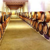 Rn-BERGERAC - Chateau Belingard - Blanc - Sec 2022er