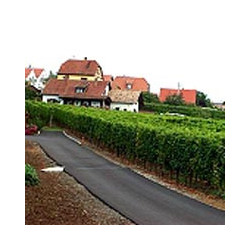 Elsass - EDELZWICKER - Roi Dagobert  AOC Blanc Kein JG