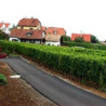 Elsass - EDELZWICKER - Roi Dagobert  AOC Blanc Kein JG