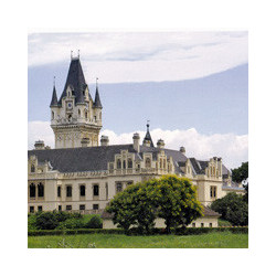 Österreich - Kolkmann Zweigelt Perfektion 2023er