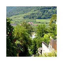 Österreich - Blauer Zweigelt - Ltr 2023er