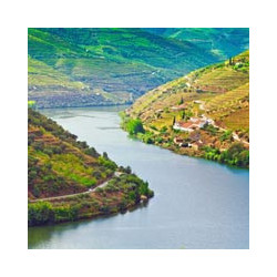 Portugal - DELAFORCE - Roter Portwein