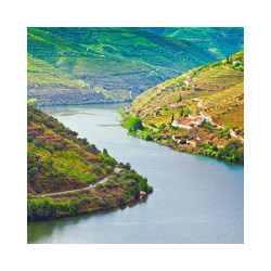 Rheinhessen - Beerenauslese - Nollen Erben 0,375