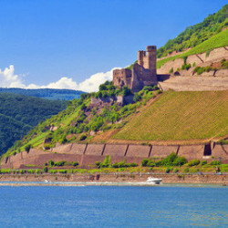 Nahe - Kreuznacher Scheurebe - Halbtrocken 2024er