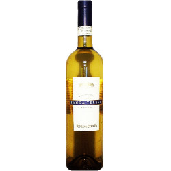 Rn-Latium - Frascati - Vigneto Santa Teresa 2021er