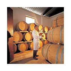 Rheinhessen - Beerenauslese - Nollen Erben 0,375