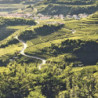 Rn-Rosé - Prosecco - Arnaces - SPUMANTE - Friuli