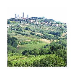 Vin Santo - Paradiso - Toskana 2011er