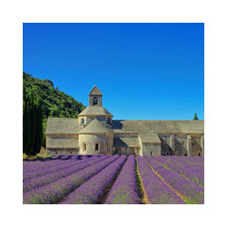 Cognac-Likör - Montifaud Vieux Pineau de Charente