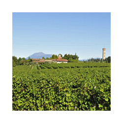 Garda - Chiaretto - Roccolo del Lago 2023er