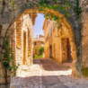Rn-Latium - Frascati - Vigneto Santa Teresa 2021er