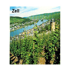 GN-Sekt - Cuvee Schloss Johannisburg - Aschaffenburg 2023er