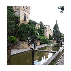 THIBARINE - der Kräuterlikör aus Tunesien.