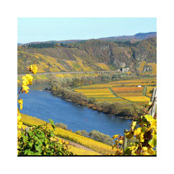 GN-Sekt - Cuvee Schloss Johannisburg - Aschaffenburg 2023er