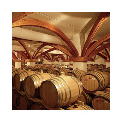 Grappa di Prosecco di Valdobbiadene - Marzadro