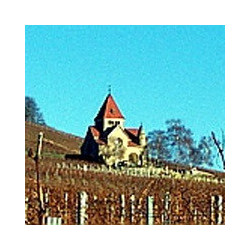 Rheinhessen - Gewürztraminer - Feinherb 2023er