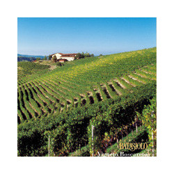 Piemont - Barbera d.Alba DOCG 2022er