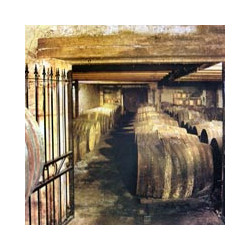 Cognac - Cht.Montifaud Sabina - VSOP - Pt.Champagne.