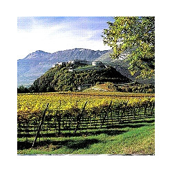 Grappa - GIARE - Riserva Chardonnay