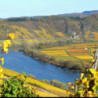Grappa di Prosecco di Valdobbiadene - Marzadro